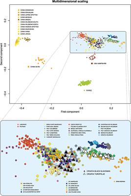 Conservation Genomic Analysis of the Croatian Indigenous Black Slavonian and Turopolje Pig Breeds